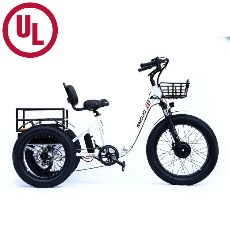 Professional electric tricycle