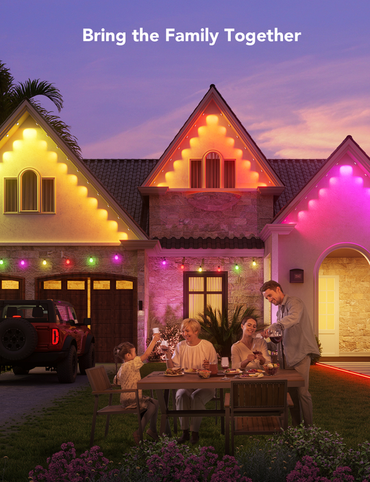 ?ON SALE AT 50%OFF -- Permanent Outdoor Lights