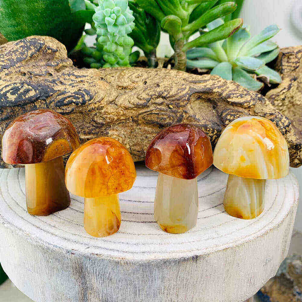 20-Piece Mushroom Gemstones Kit